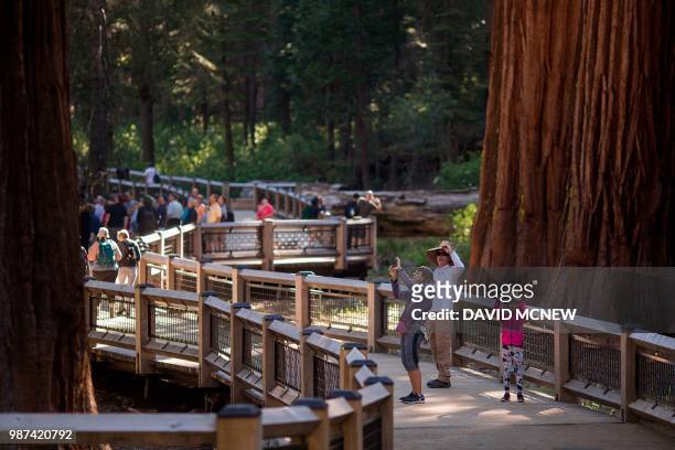 People walk among sequoia trees on the new boardwalk in the Mariposa Grove of Giant Sequoias on May 20, 2018 in Yosemite National Park, California...
