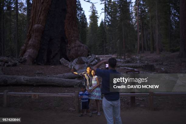 People take photos near the Grizzly Giant tree in the Mariposa Grove of Giant Sequoias on May 20, 2018 in Yosemite National Park, California which...