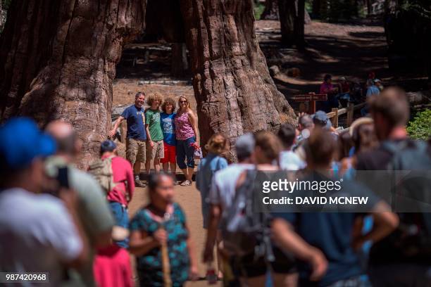 Crowd stands in line to take photos of one another at the California Tunnel Tree in the Mariposa Grove of Giant Sequoias on May 21, 2018 in Yosemite...