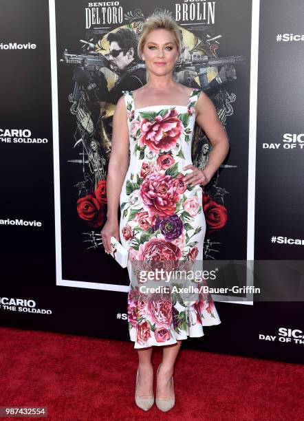 Actress Elisabeth Rohm attends Columbia Pictures' 'Sicario: Day of the Soldado' Premiere at Regency Village Theatre on June 26, 2018 in Westwood,...