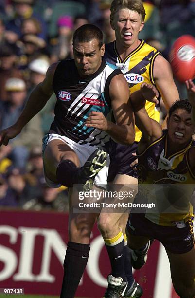 Gregory Harding 293 Greg Kerr Stock Photos, High-Res Pictures, and Images - Getty Images