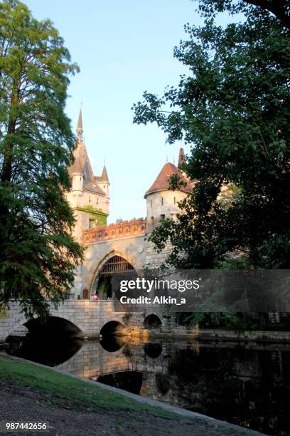 vajdahunyad castle, budapest - vajdahunyad castle stock pictures, royalty-free photos & images