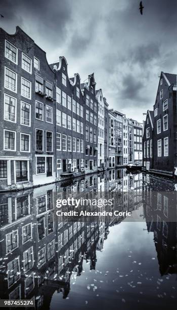 reflexion amsterdam rockarchive - reflexion stock pictures, royalty-free photos & images