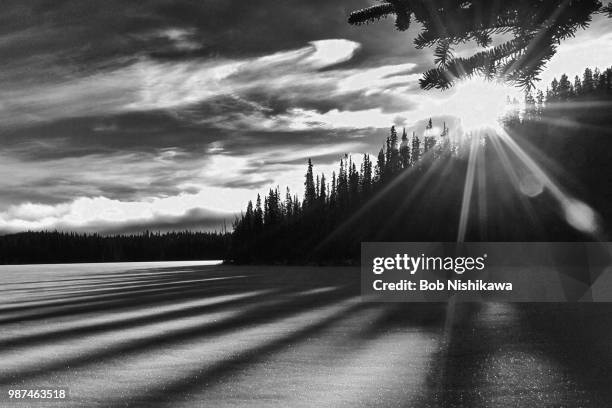 yukon shadows and light - nishikawa stock pictures, royalty-free photos & images