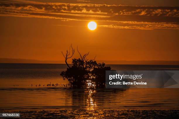 Invocation Photos and Premium High Res Pictures - Getty Images