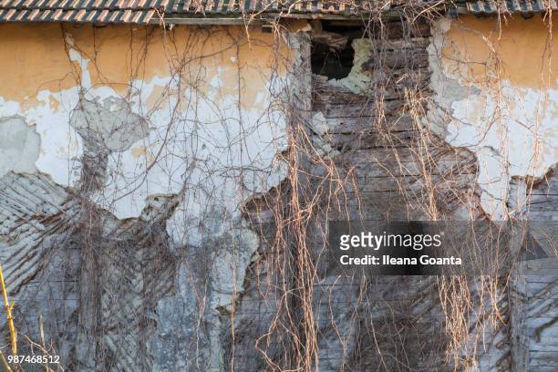 old wall of old house - ileana stock pictures, royalty-free photos & images
