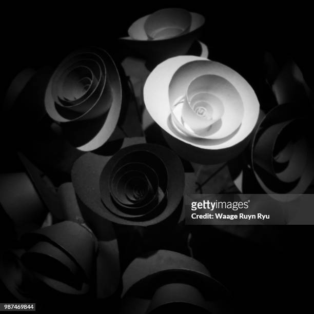 black roses - waage stockfoto's en -beelden