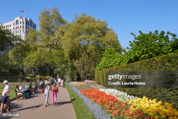 victoria embankment gardens, london, england - ヴィクトリア・エンバンクメント・ガーデンズ ストックフォトと画像