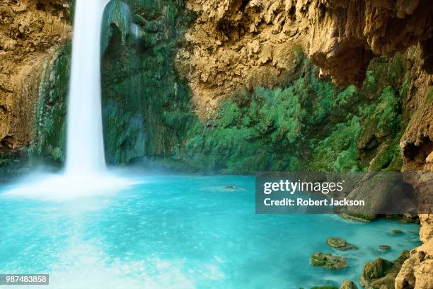 mooney falls - mooney falls stock pictures, royalty-free photos & images