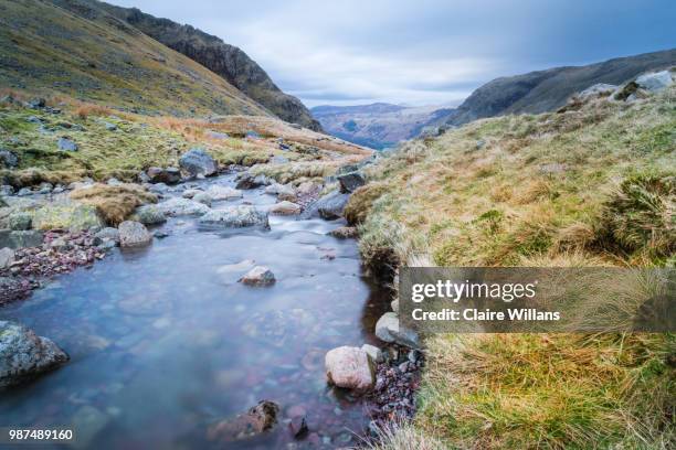 borrowdale - borrowdale imagens e fotografias de stock