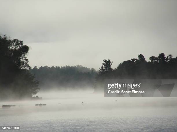 misty morning - elmore stock pictures, royalty-free photos & images
