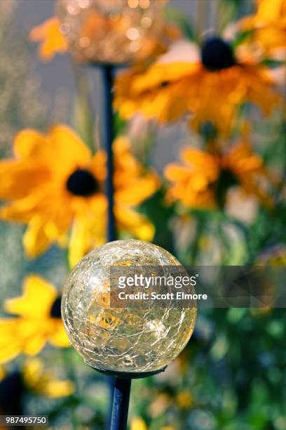 flower and globe - elmore stock pictures, royalty-free photos & images