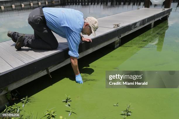 John Cassani, Director at Calusa Waterkeeper, takes a water sample at W.P. Franklin Lock and Dam park where a deepening algae bloom could be seen...