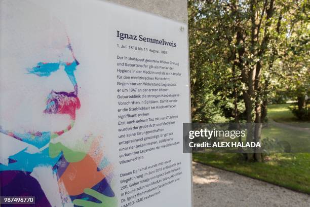 Commemorative plaque for pioneering scientist Ignaz Phillip Semmelweis stands in the garden of the General Hospital in Vienna on June 28, 2018. -...