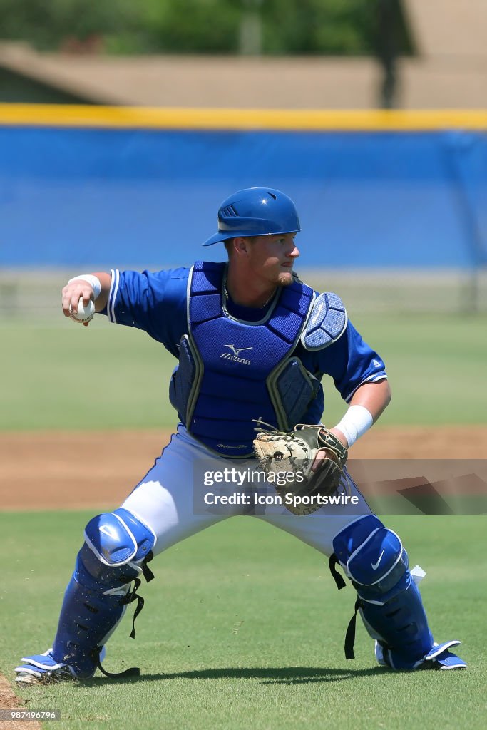 MILB: JUN 25 Gulf Coast League - GCL Braves at GCL Blue Jays