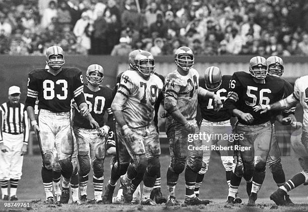 Johnny Brewer, Vince Costello, Lou Groza and John Morrow of the Cleveland Browns and Gene Gossage and Riley Gunnels of the Philadelphia Eagles look...