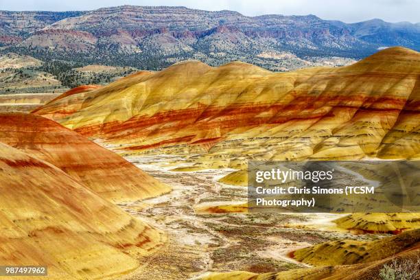 the painted hills - letto fossile foto e immagini stock