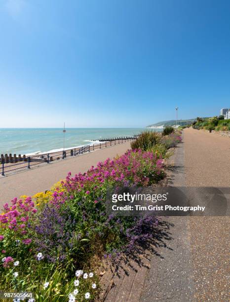 eastbourne promenade and beach head - eastbourne stock pictures, royalty-free photos & images