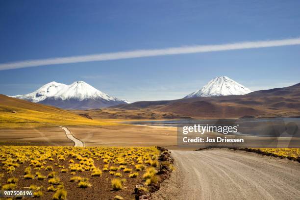 on the way to lake miscanti, atacama dessert, chil - san pedro de atacama bildbanksfoton och bilder