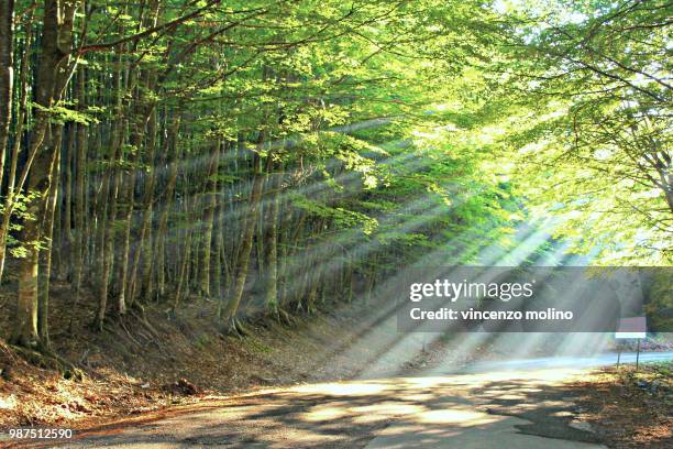 lights in the mountains - molino stock pictures, royalty-free photos & images