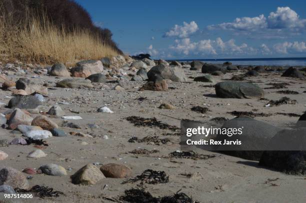 rocky beach - jarvis summers stock pictures, royalty-free photos & images