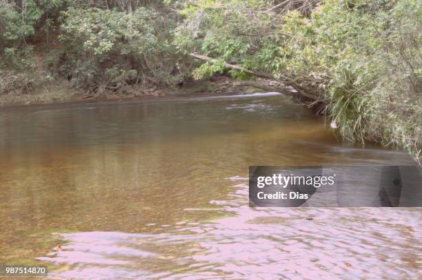 pedra do judeu - pedra stock pictures, royalty-free photos & images