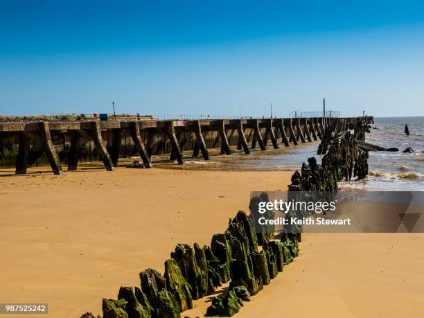 walberswick beach - walberswick stock pictures, royalty-free photos & images