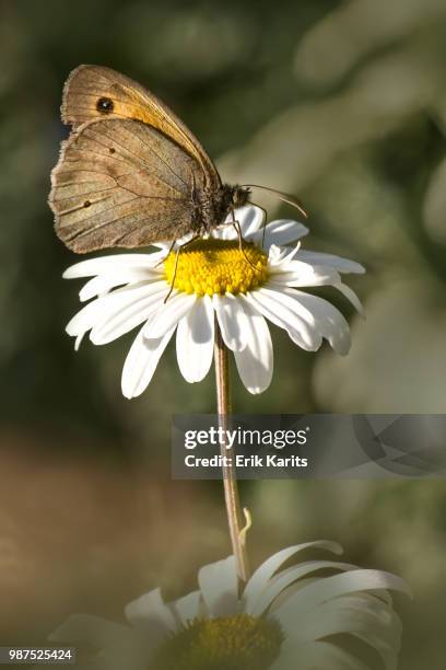 14jpg High-Res Stock Photo