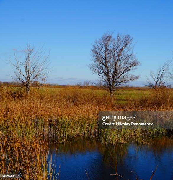 Autumn High-Res Stock Photo