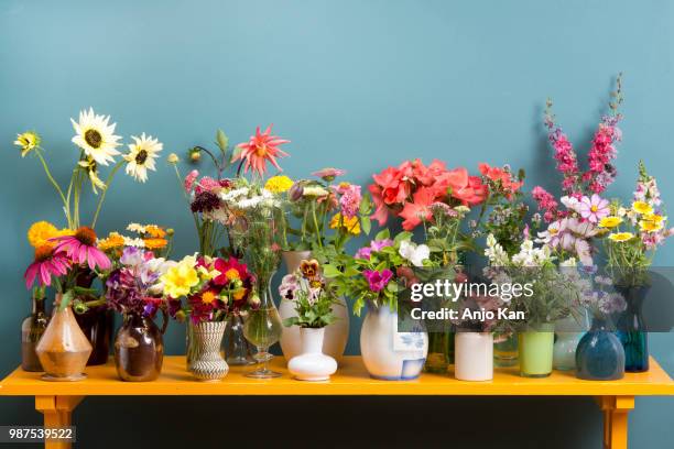 flowers in vases - poppies in vase stock pictures, royalty-free photos & images