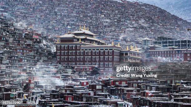 A Rong Rong 246 Wang Rong Rong Stock Photos, High-Res Pictures, and Images - Getty ...