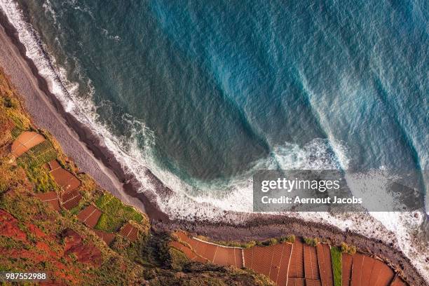 the coast of camara de lobos in madeira, portugal. - camara de photos stock pictures, royalty-free photos & images