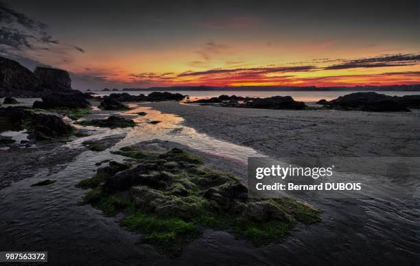 la nuit arrive... - nuit stockfoto's en -beelden