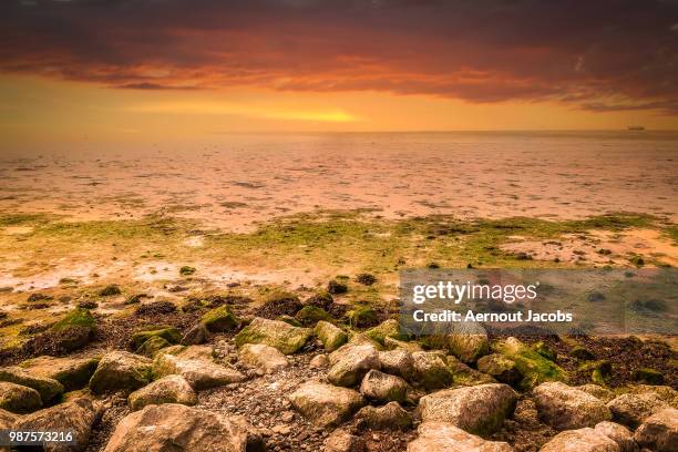 schiermonnikoog - schiermonnikoog stock pictures, royalty-free photos & images