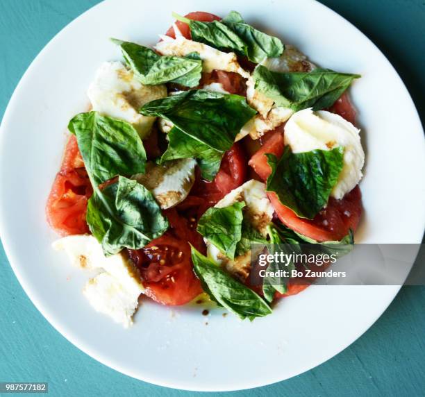 homemade insalata caprese, on a white  plate. - insalata stock-fotos und bilder