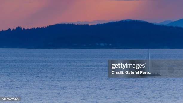 sunset over seattle - elliott bay bildbanksfoton och bilder