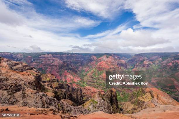 waimea canyon state park - waimea valley bildbanksfoton och bilder