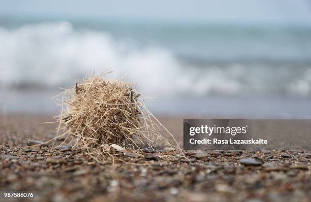 Artist Rasa 59 Rasa (Art) Stock Photos, High-Res Pictures, and Images - Getty Images