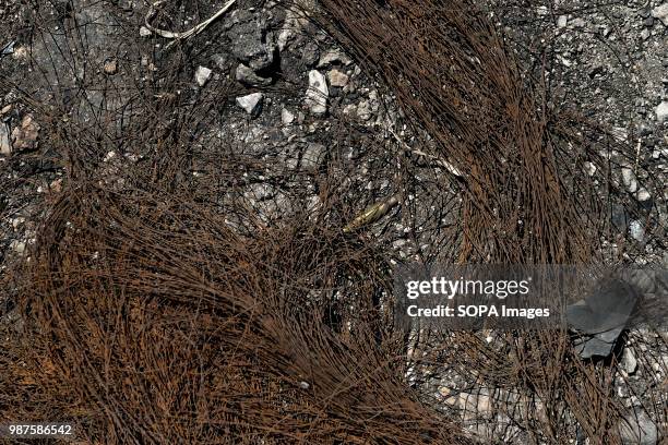 Shell casing from an Israeli rifle lies among debris on the side of the road in Beit El on the outskirts of the West Bank city of Ramallah....