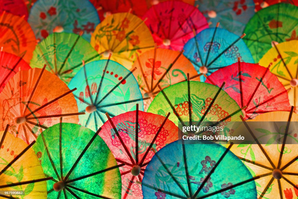 Umbrellita