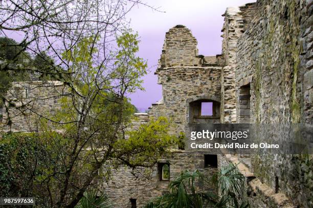 monasterio en ruinas - en ruinas stock pictures, royalty-free photos & images