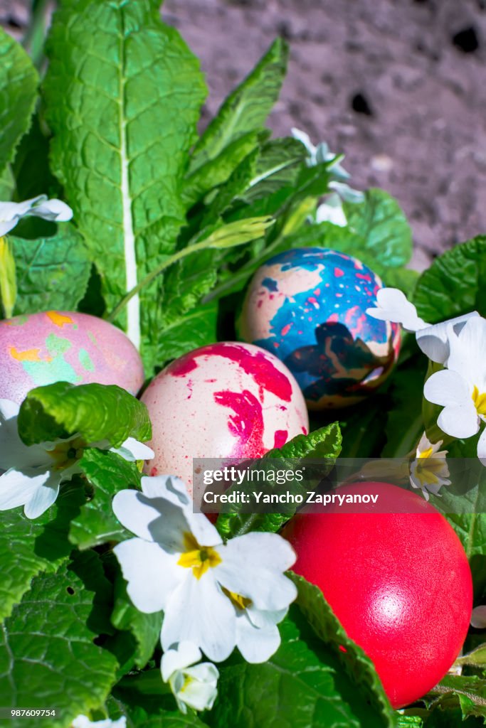 Colorful Easter eggs