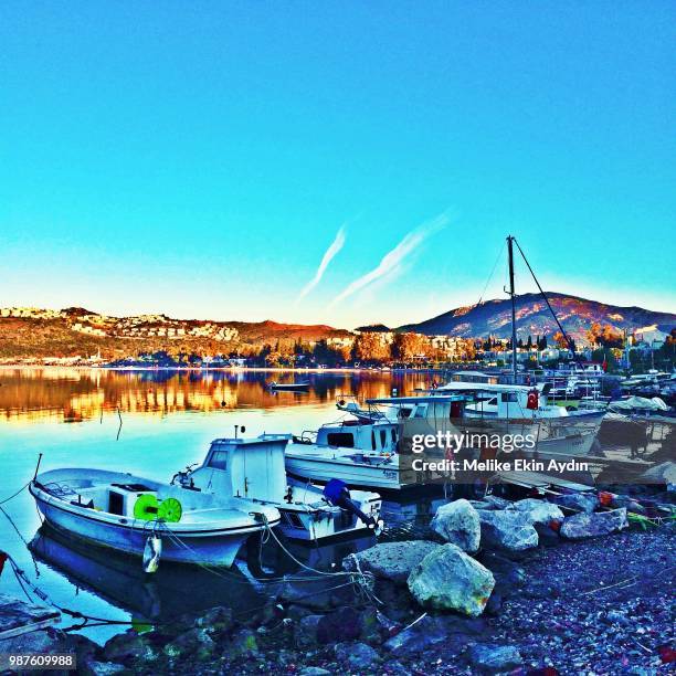 shiny blue morning - melike fotografías e imágenes de stock