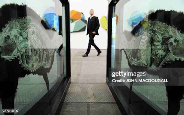 Visitor walks past British artist Damien Hirst's "The Black Sheep with Golden Horns" featuring a cross section of a real sheep during a press preview...