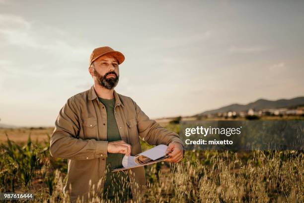 agricultor analisa seu campo - agronomist - fotografias e filmes do acervo