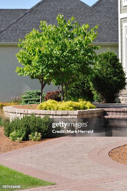 block sidewalk and retaining wall - wood retaining wall stock pictures, royalty-free photos & images