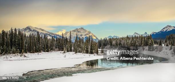 jasper national park in alberta, canada. - albena stock pictures, royalty-free photos & images