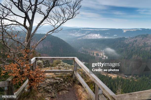 view of valley odertal from rock formation hahnenkleeklippen - goslar stock pictures, royalty-free photos & images