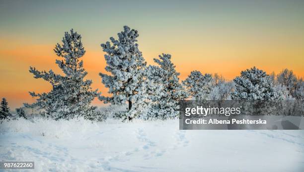 winter sunset - albena stock-fotos und bilder