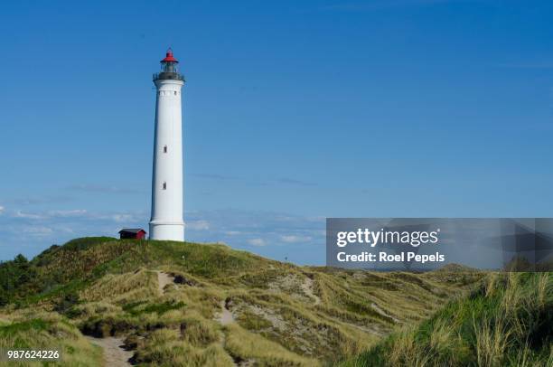 lyngvig lighthouse hvide sande denmark - hvide sande denmark stock pictures, royalty-free photos & images